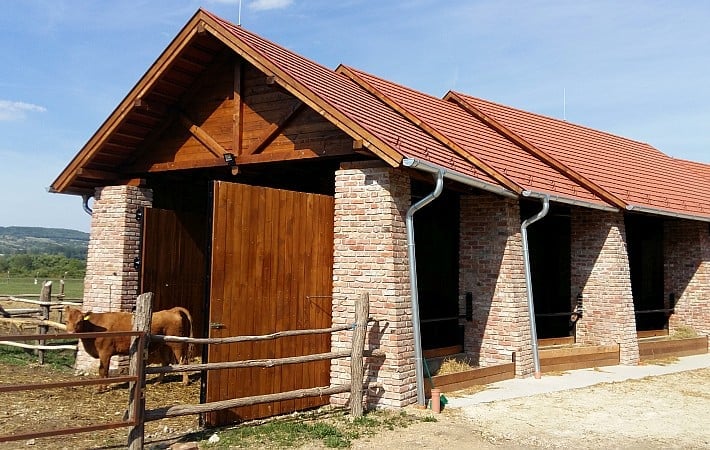 Prihranek energije in stroškov s sodobno streho